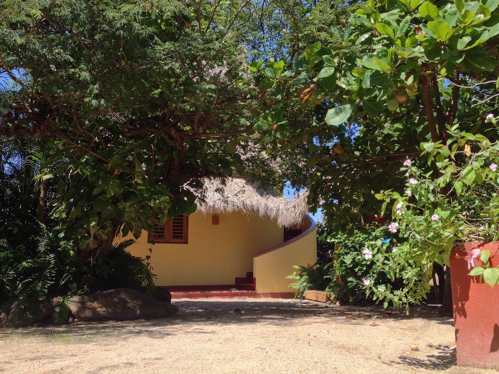 Troncones Point Hostel Exterior foto